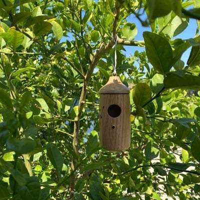 WOODEN HUMMINGBIRD HOUSE-GIFT FOR NATURE LOVERS