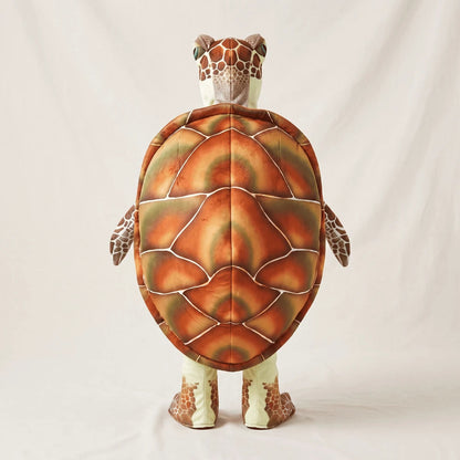 Turtle Time Matching Costume — Kids & Adults