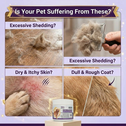 PawVita Wellness Chews