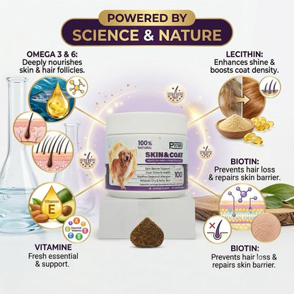 PawVita Wellness Chews