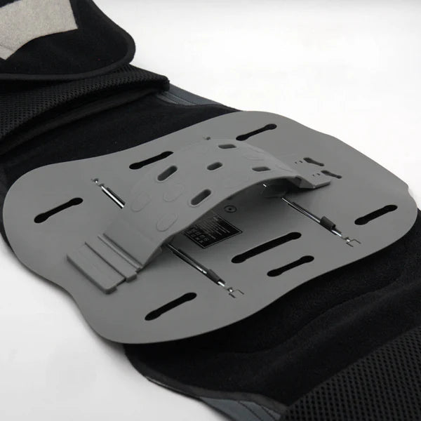 Back Support Belt