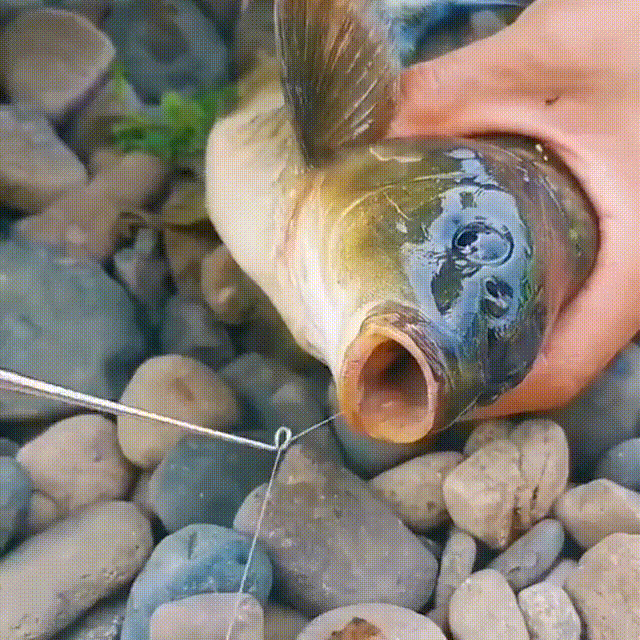 🎁 Today Save 50% - Fishing Hook Quick Removal Device