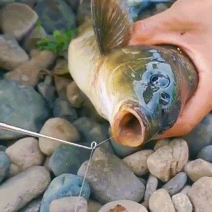 🎁 Today Save 50% - Fishing Hook Quick Removal Device