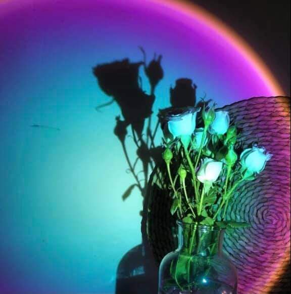 Sunset Projection Lamp