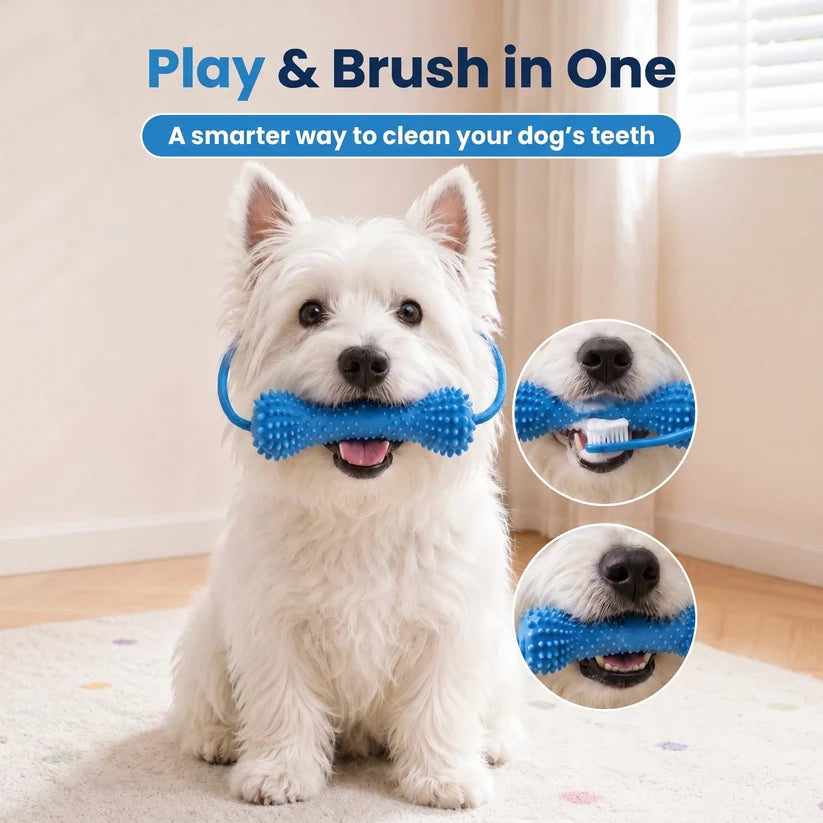 PawBrush Dental Chew Toy