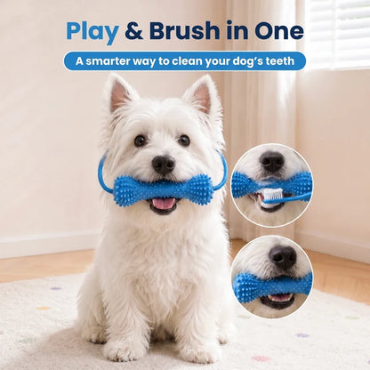 PawBrush Dental Chew Toy