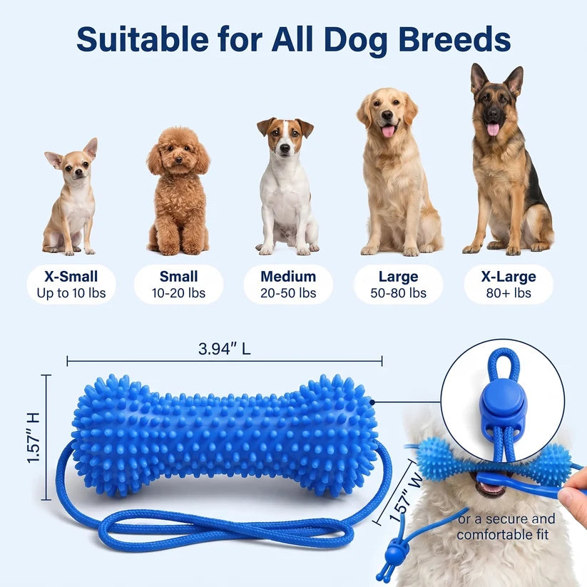 PawBrush Dental Chew Toy