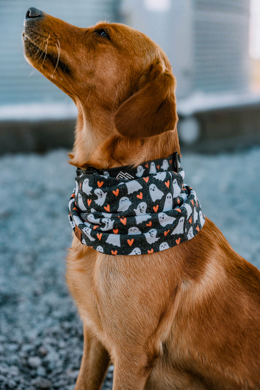 SpookyPaws Ghost Dog Scarf