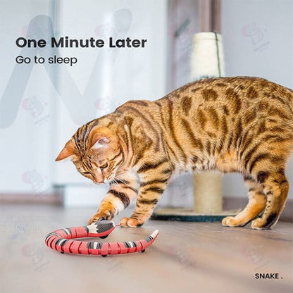 🔥Last Day Promotion 50% OFF🔥SLITHER SPRINT™ INTERACTIVE CAT TOY