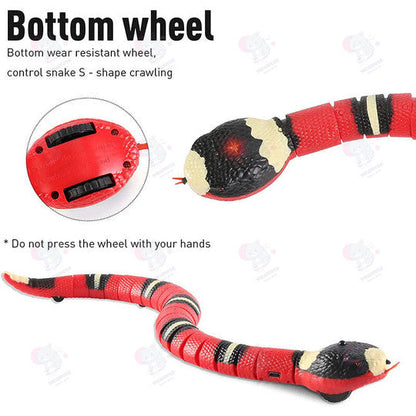 🔥Last Day Promotion 50% OFF🔥SLITHER SPRINT™ INTERACTIVE CAT TOY