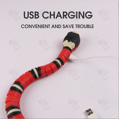 🔥Last Day Promotion 50% OFF🔥SLITHER SPRINT™ INTERACTIVE CAT TOY