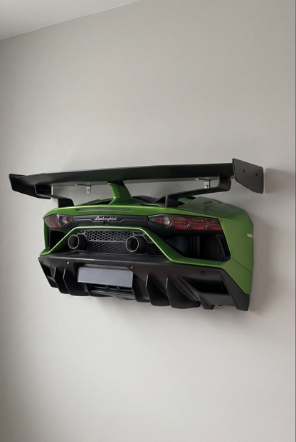 AeroVault Wall-Mounted Car Display Shelf