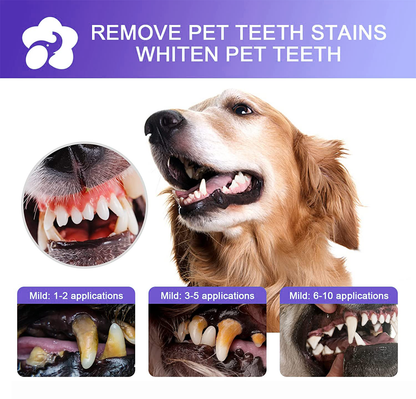 Teeth Cleaning Spray for Dogs & Cats