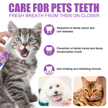 Teeth Cleaning Spray for Dogs & Cats
