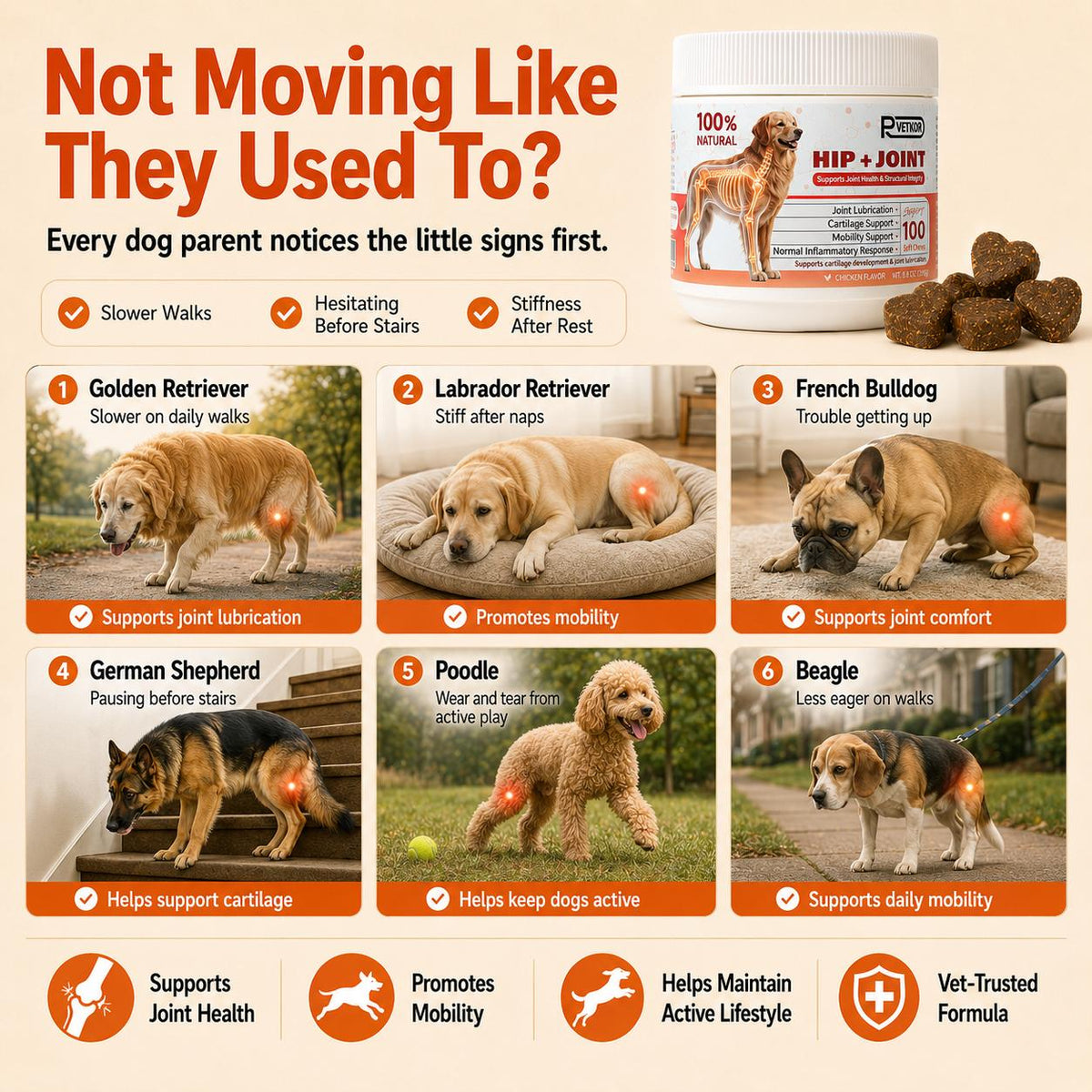 PawVita Wellness Chews