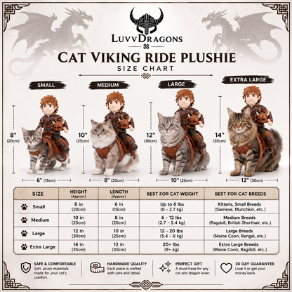Dragon Rider Pet Costume Plush