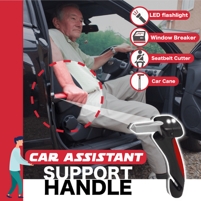 Car Assistant Support Handle