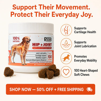 PawVita Wellness Chews