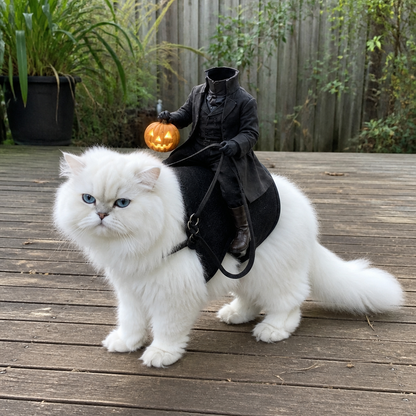 The Headless Horseman Rider Pet Costume