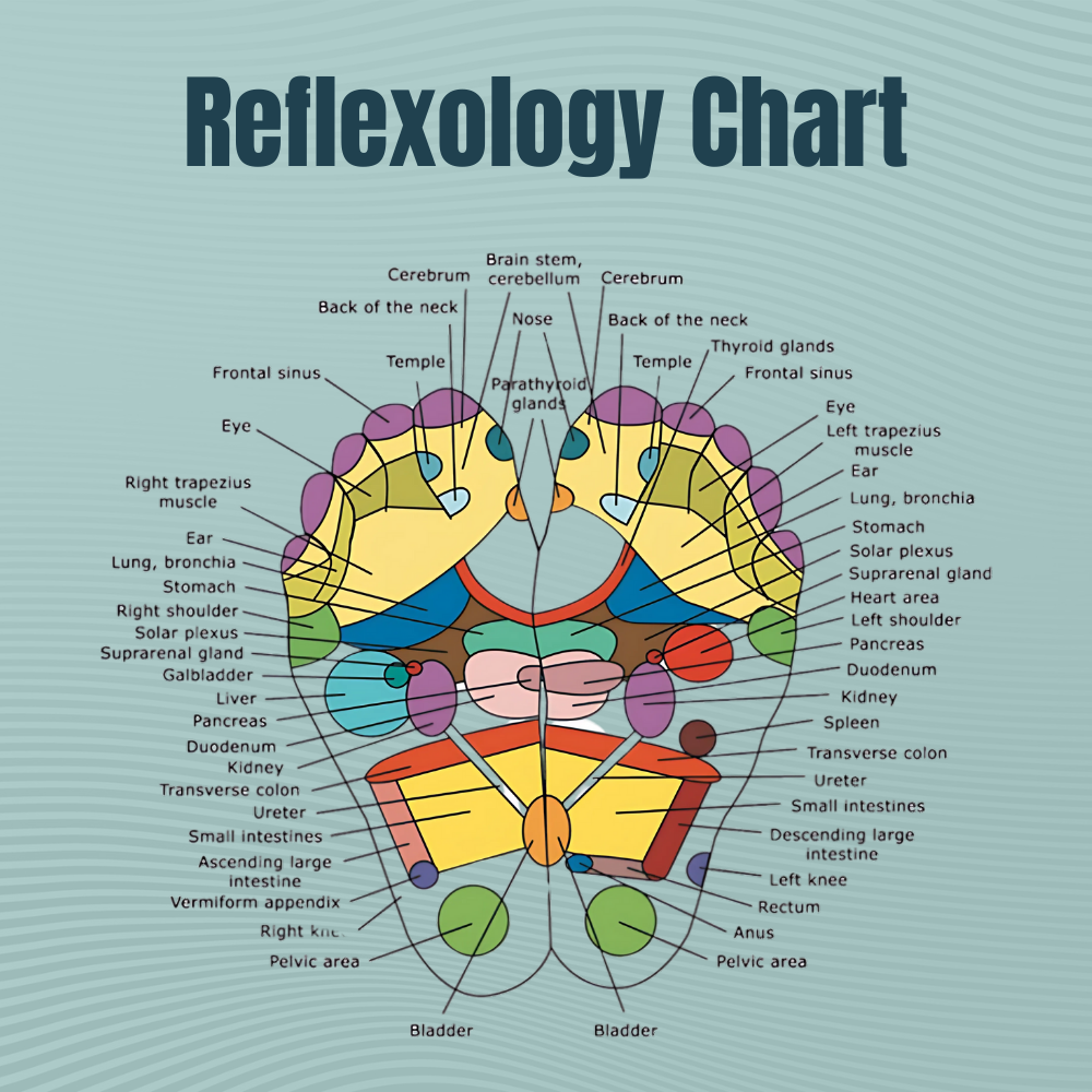 SoleMap Reflexology Socks
